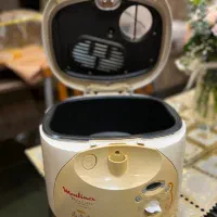 سرخ کن اصل مولینکس فرانسه آسانسور دار