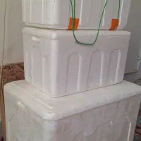 یخدان یونولیتی