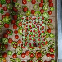 تهیه وتوزیع غذای پرسنلی با ادارات و ارگان ها|خدمات پذیرایی، مراسم|تهران, فلاح|دیوار