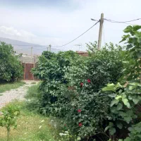 سوییت-و-خانه-باغ