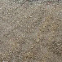 فروش زمین کشاورزی