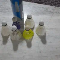 راکت بدمینتون|تجهیزات ورزشی|زنجان, |دیوار