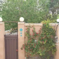 فرصت مناسب سرمایه گذاری در ورامین|فروش زمین و ملک کلنگی|جوادآباد, |دیوار