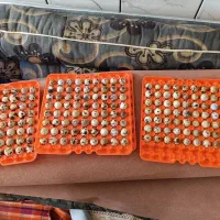 تخم بلدرچین نطفه دار|حیوانات مزرعه|نجفآباد, حومه نجف آباد|دیوار