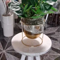 گل ب مناسبت روز مادر|گل مصنوعی|قم, نیروگاه|دیوار