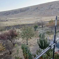 باغ|فروش زمین و ملک کلنگی|کرمانشاه, |دیوار