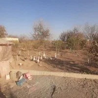 ۱۰ عدد قوقاز