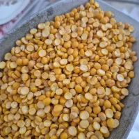 برنج کامفیروزی 240|خوردنی و آشامیدنی|شیراز, شریف‌آباد|دیوار
