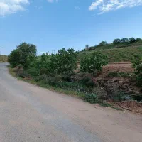 باغ