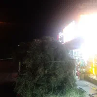 دامداری واسه اجاره میخام اشخانه