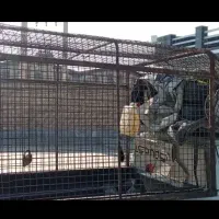 باربند توری نیسان