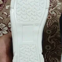 کفش نو|کیف، کفش، کمربند|زابل, |دیوار