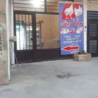 دکان کرایه ای تازه ساز وبهداشتی|اجارهٔ مغازه و غرفه|جوانرود, |دیوار