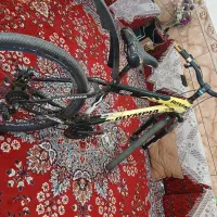 دوچرخه ویوا المپیا|دوچرخه، اسکیت، اسکوتر|بندر ماهشهر, |دیوار