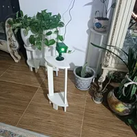لنزبه همراه چرخن پایه.