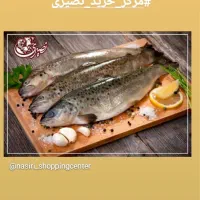 کارگر برای نظافت خردکردن مرغ وماهی درگلسار