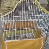 قفس پرنده|لوازم جانبی حیوانات|فولادشهر, B5|دیوار