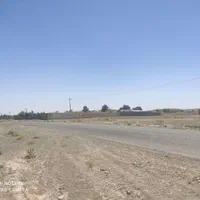 زمین باغی و ویلایی زیر قیمت بازار در تربت حیدریه|فروش زمین و ملک کلنگی|مشهد, تربیت (صدف)|دیوار