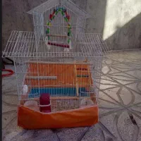 قفس و وسایل پرنده|لوازم جانبی حیوانات|بانه, |دیوار
