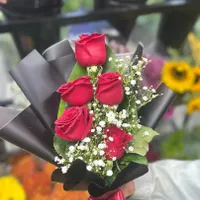 پخش عمده گل رز هلندی|گل و گیاه طبیعی|مشهد, هنرستان|دیوار