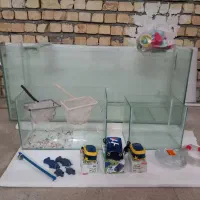 آکواریوم|ماهی|آران و بیدگل, |دیوار