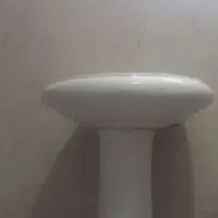 سلام روشور سالم  و بزرگ قیمت 700