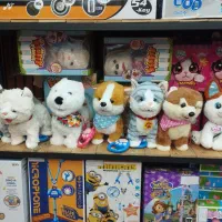 سگ و گربه حسگردار هوشمند قلاده دار پولیشی|اسباب‌‌بازی|چهاردانگه (تهران), |دیوار