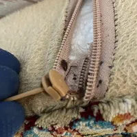 سمپاشی تخصصی تضمینی ساس سوسک بامجوزرسمی بهداشت