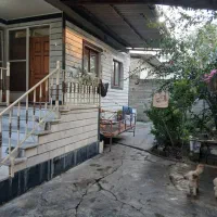 شکار بدلیل مهاجرت