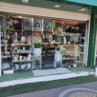 فروش ۳۴ متر مغازه مرکز شهر|فروش مغازه و غرفه|نوشهر, |دیوار