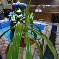 فروش کامل تجهیزات کافه رستوران|کافی‌شاپ و رستوران|استهبان, |دیوار