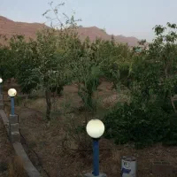 فروش باغچه 1200 متری در خان زنیان دهنو قلندری|فروش زمین و ملک کلنگی|شیراز, شهرک امیر کبیر|دیوار