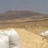 کاه