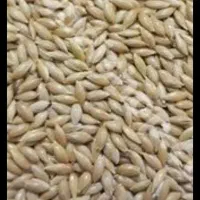 خوراک دام ماهی کنجاله  روغنی گلرنگ کتان کنجد ذرت