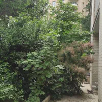 نیاوران ۲۱۰ متر ۲ طبقه بنا|فروش زمین و ملک کلنگی|تهران,  امام زاده قاسم (نیاوران)|دیوار