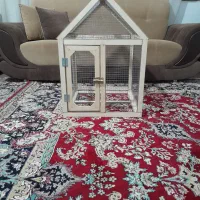 قفس عروس هلندی، فنچ، طوطی