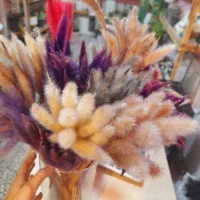 گل خشک دم رباهی بسته ۱۰تایی ۳۵تومن|گل مصنوعی|رشت, فلسطین|دیوار