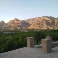 فروش-زمین-زراعی-واقع-در-روستای-دیل