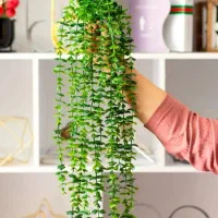 ریسه 16 شاخه شمشاد