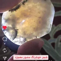 عقیق شجر طبیعی|جواهرات|آفتاب, |دیوار