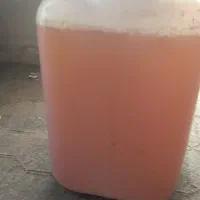 ابغوره بش دشمن زیاری