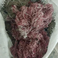 کاموا شکافته و نشکافته بالش