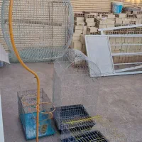 قفس|لوازم جانبی حیوانات|رفسنجان, |دیوار