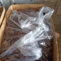 خرما ی کبکاب تمیز بدون ضعایات
