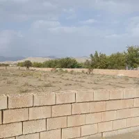 زمین کشاورزی گلخانه ای تیران،عزیز آباد