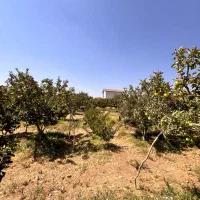 ۱۳۷متر باغ متری۴.۵اقساط ۶ماهه بوستان۷۵جابان دماوند|فروش زمین و ملک کلنگی|دماوند, دماوند|دیوار