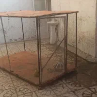 قفس بزرگ مرغ و خروس