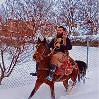 اسب فروشی|اسب و تجهیزات اسب‌سواری|آرمرده, |دیوار