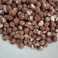 فندق  الموت تازه