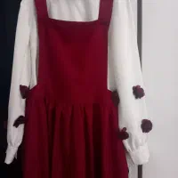 سارافون و زیر سارافون مجلسی